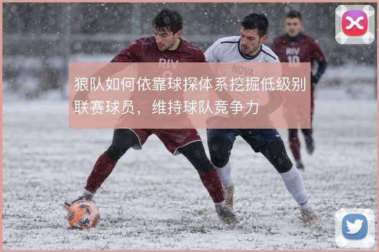 狼队如何依靠球探体系挖掘低级别联赛球员,维持球队竞争力