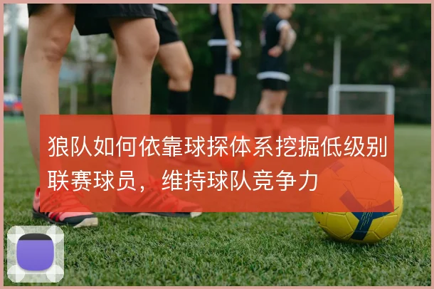狼队如何依靠球探体系挖掘低级别联赛球员，维持球队竞争力